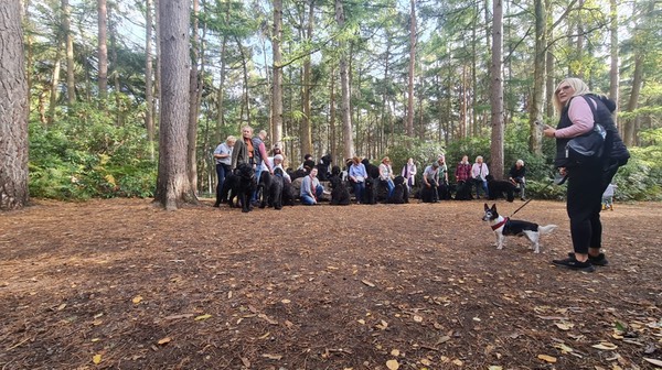 Pack Walk Oct 2022 - 7