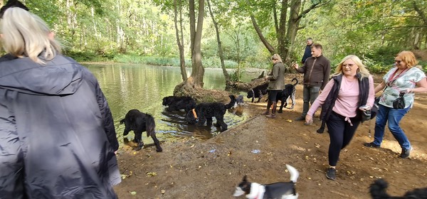 Pack Walk Oct 2022 - 8
