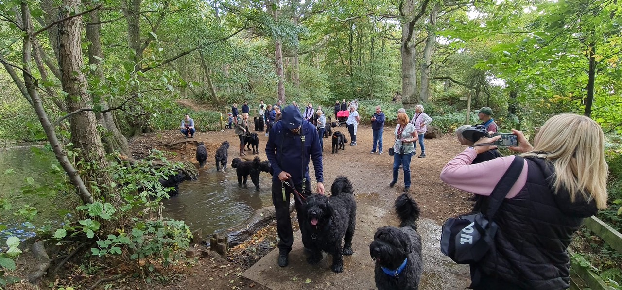 Pack Walk Oct 2022 - 15