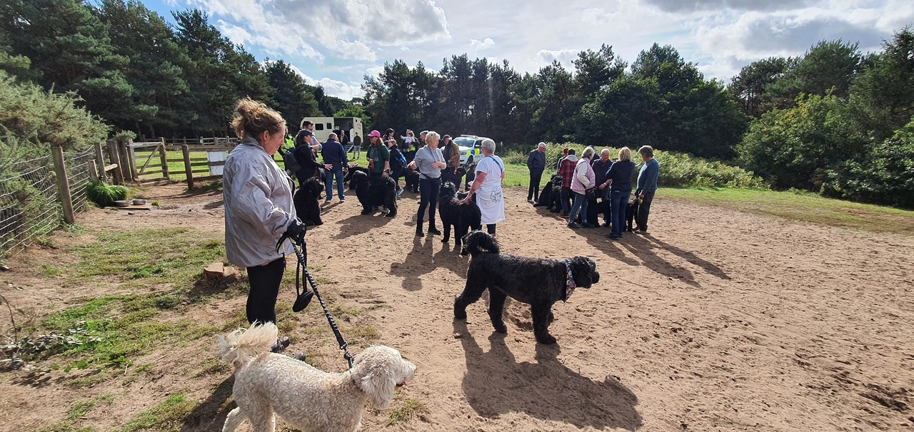Pack Walk Oct 2022 - 25