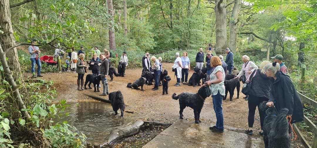 Pack Walk Oct 2022 - 29