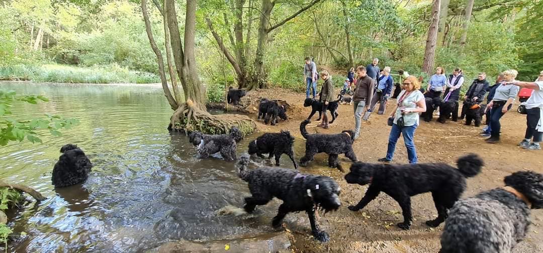 Pack Walk Oct 2022 - 30