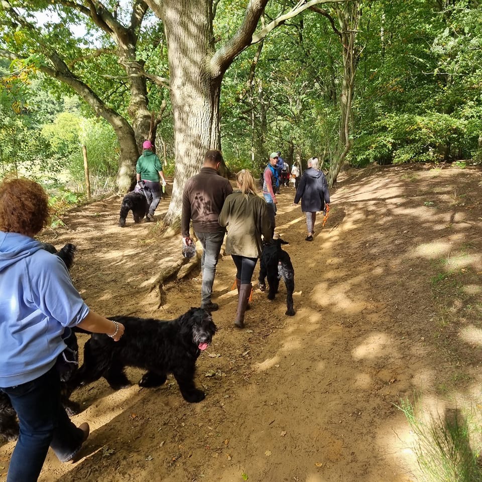 Pack Walk Oct 2022 - 32