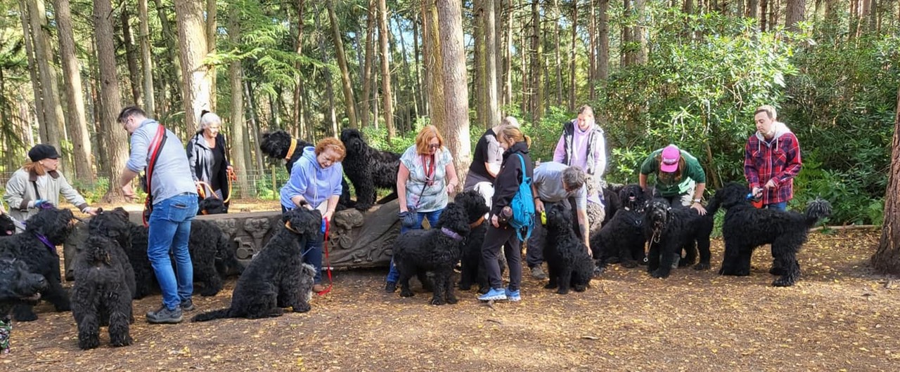 Pack Walk Oct 2022 - 34