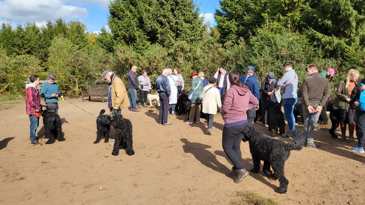 Pack Walk Oct 2022 - 35