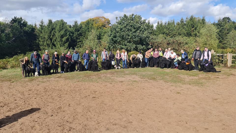 Pack Walk Oct 2022 - 38