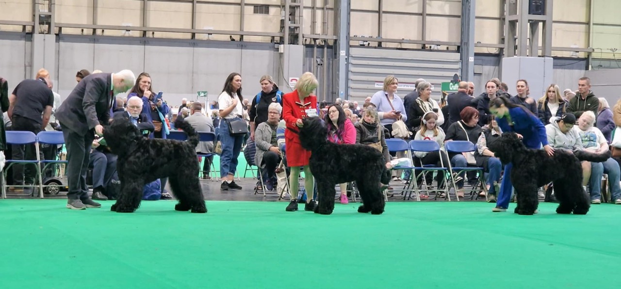 56