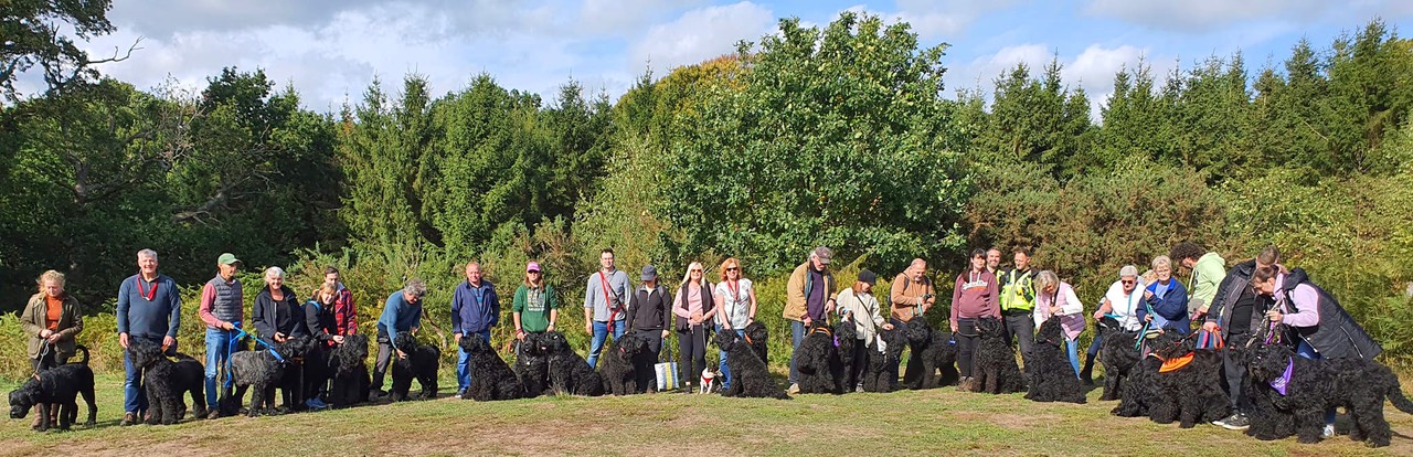 Pack Walk Oct 2022 - 1