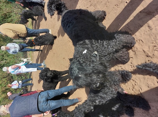 Pack Walk Oct 2022 - 62