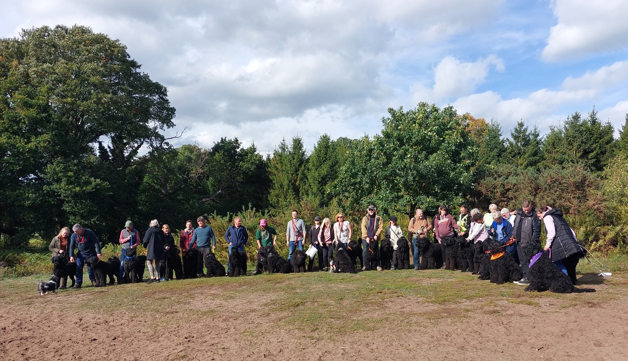 Pack Walk Oct 2022 - 73