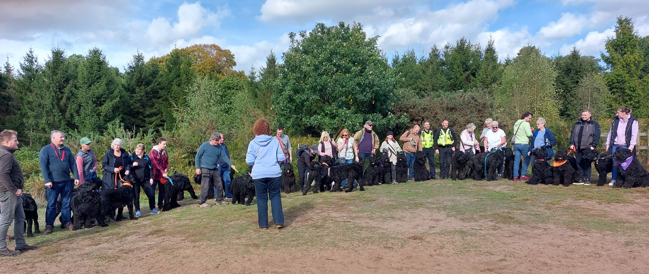 Pack Walk Oct 2022 - 74