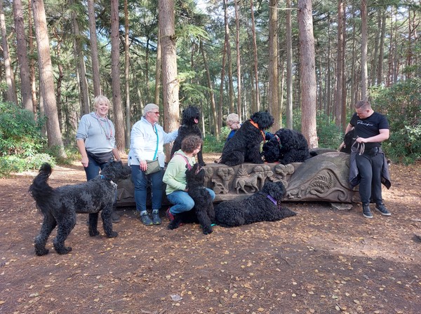 Pack Walk Oct 2022 - 88