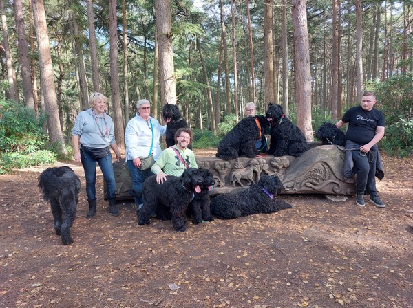 Pack Walk Oct 2022 - 90